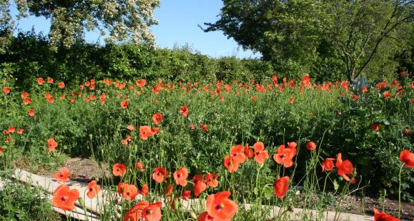 That is forever England.